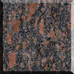 õ